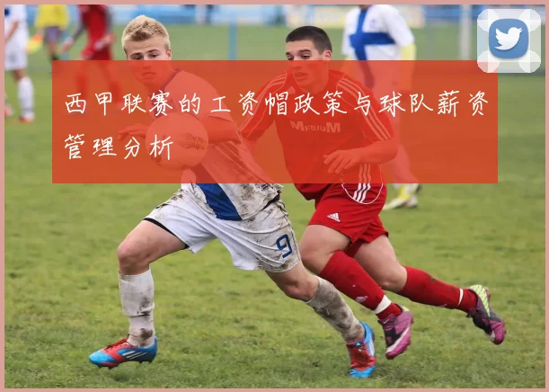 西甲联赛的工资帽政策与球队薪资管理分析